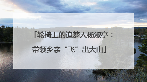 轮椅上的追梦人杨淑亭：带领乡亲“飞”出大山