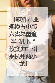 软件产业规模占中部六省总量逾半 湖北“软实力”引来杭州两小龙