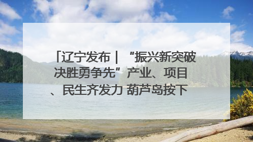 辽宁发布｜“振兴新突破 决胜勇争先”产业、项目、民生齐发力 葫芦岛按下决胜之年“加速键”