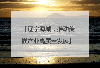 辽宁海城：推动菱镁产业高质量发展