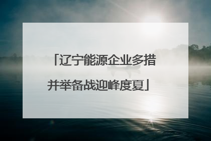 辽宁能源企业多措并举备战迎峰度夏