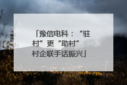 豫信电科：“驻村”更“助村” 村企联手话振兴