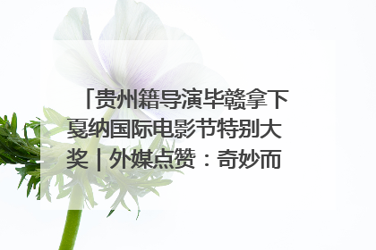 贵州籍导演毕赣拿下戛纳国际电影节特别大奖｜外媒点赞：奇妙而广阔的纯粹电影梦