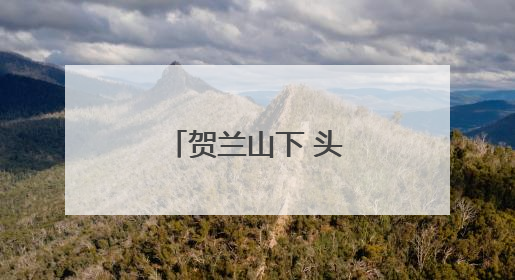 贺兰山下 头茬枸杞迎丰收