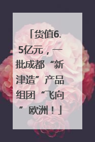 货值6.5亿元，一批成都“新津造”产品组团“飞向”欧洲！