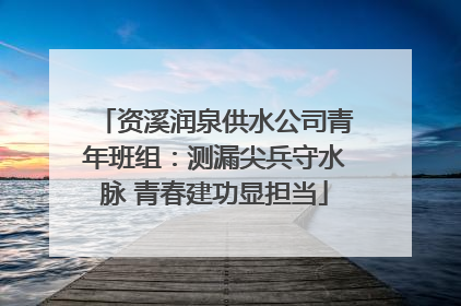 资溪润泉供水公司青年班组：测漏尖兵守水脉 青春建功显担当