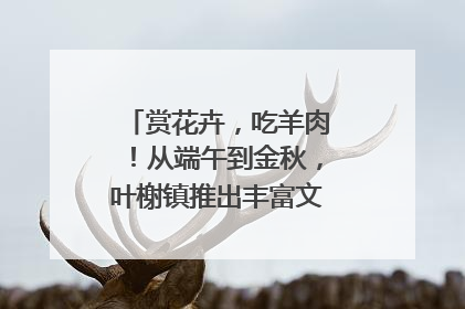 赏花卉，吃羊肉！从端午到金秋，叶榭镇推出丰富文旅活动邀您爽玩