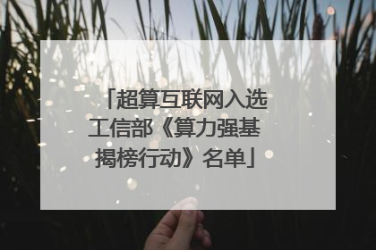 超算互联网入选工信部《算力强基揭榜行动》名单