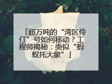 超万吨的“湾区伶仃”号如何移动？工程师揭秘：类似“蚂蚁托大象”