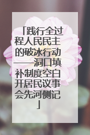 践行全过程人民民主的破冰行动——洞口填补制度空白开居民议事会先河侧记