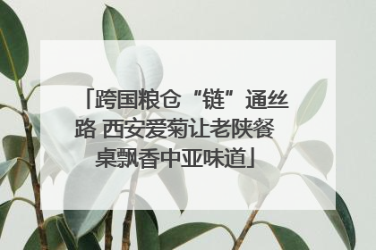 跨国粮仓“链”通丝路 西安爱菊让老陕餐桌飘香中亚味道