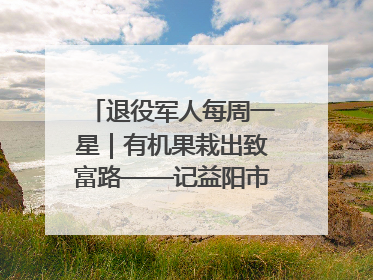 退役军人每周一星｜有机果栽出致富路——记益阳市银城南湖蔬果农民专业合作社总经理晏桂明