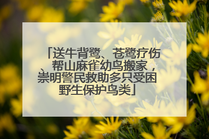 送牛背鹭、苍鹭疗伤、帮山麻雀幼鸟搬家，崇明警民救助多只受困野生保护鸟类
