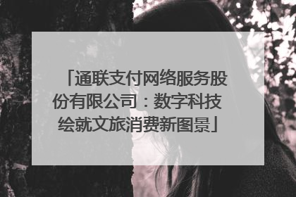 通联支付网络服务股份有限公司：数字科技绘就文旅消费新图景