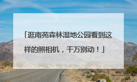 逛南苑森林湿地公园看到这样的照相机，千万别动！
