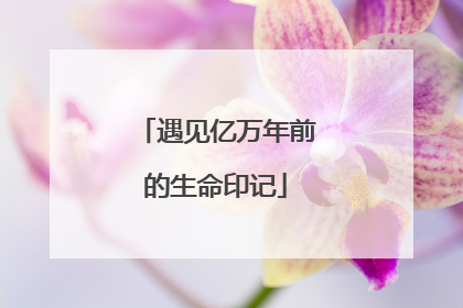 遇见亿万年前的生命印记