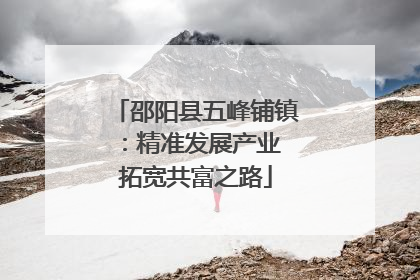邵阳县五峰铺镇：精准发展产业 拓宽共富之路