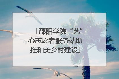 邵阳学院“艺”心志愿者服务站助推和美乡村建设