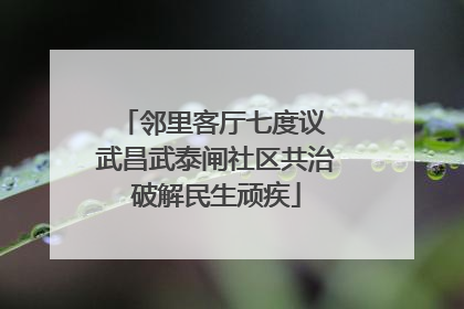 邻里客厅七度议 武昌武泰闸社区共治破解民生顽疾