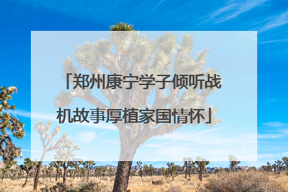 郑州康宁学子倾听战机故事厚植家国情怀