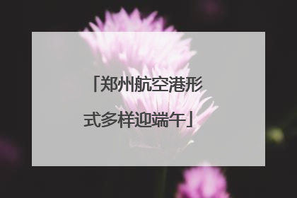 郑州航空港形式多样迎端午