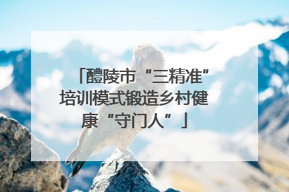 醴陵市“三精准”培训模式锻造乡村健康“守门人”