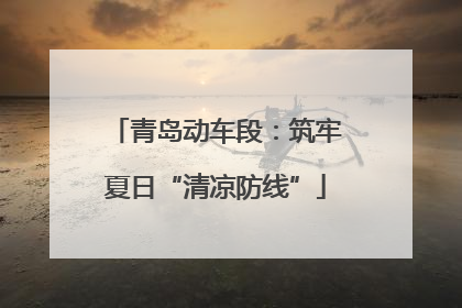 青岛动车段：筑牢夏日“清凉防线”