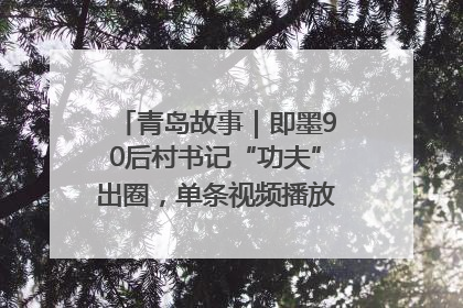 青岛故事｜即墨90后村书记“功夫”出圈，单条视频播放量过600万