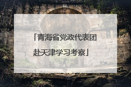 青海省党政代表团赴天津学习考察