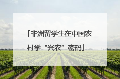 非洲留学生在中国农村学“兴农”密码