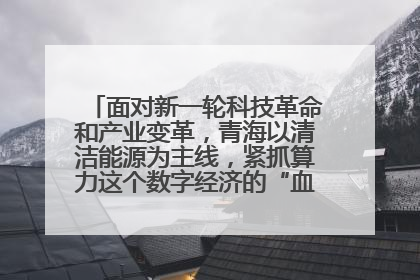 面对新一轮科技革命和产业变革，青海以清洁能源为主线，紧抓算力这个数字经济的“血液”、科技主权的“筹码”、产业升级的“杠杆”、绿色转型的“支点”，勇于撬动国家“双碳”战略、“东数西算”工程重大发展新机遇