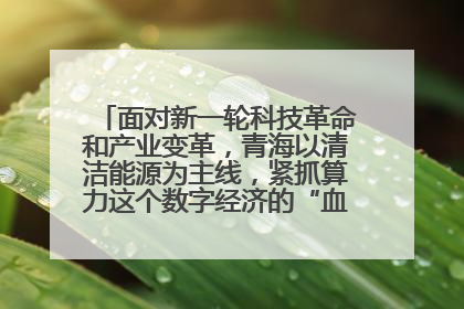 面对新一轮科技革命和产业变革，青海以清洁能源为主线，紧抓算力这个数字经济的“血液”、科技主权的“筹码”、产业升级的“杠杆”、绿色转型的“支点”，勇于撬动国家“双碳”战略、“东数西算”工程重大发展新机遇，点亮绿色算电协同新赛道，蹚出一条符合本地实际的高质量发展之路——青海：“绿色算力” 锚定“东数西算”国家战略布局