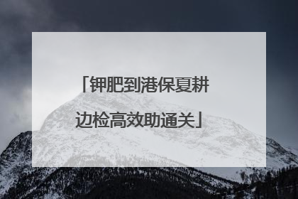 钾肥到港保夏耕 边检高效助通关