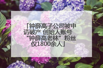 钟薛高子公司被申请破产 创始人账号“钟薛高老林”粉丝仅1800余人