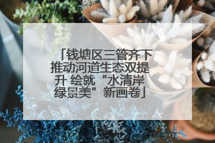 钱塘区三管齐下推动河道生态双提升 绘就“水清岸绿景美”新画卷