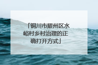 铜川市耀州区水峪村乡村治理的正确打开方式