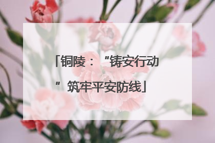 铜陵：“铸安行动”筑牢平安防线
