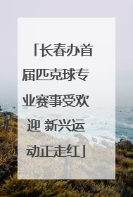 长春办首届匹克球专业赛事受欢迎 新兴运动正走红