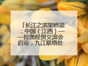 长江之滨架桥梁：中国（江西）——拉美经贸交流会启幕，九江联络处授牌拓商机