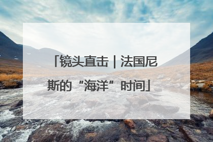 镜头直击｜法国尼斯的“海洋”时间