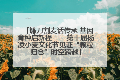 镰刀割麦话传承 基因育种启新程——第十届杨凌小麦文化节见证“颗粒归仓”时空跨越