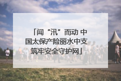 闻“汛”而动 中国太保产险丽水中支筑牢安全守护网