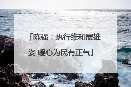 陈强：执行维和展雄姿 暖心为民有正气