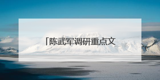 陈武军调研重点文旅项目推进情况