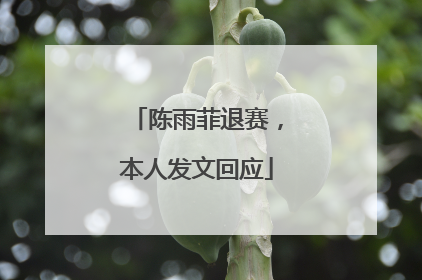 陈雨菲退赛，本人发文回应