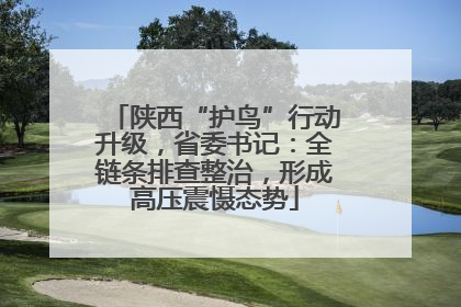 陕西“护鸟”行动升级，省委书记：全链条排查整治，形成高压震慑态势