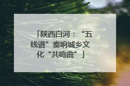 陕西白河：“五线谱”奏响城乡文化“共鸣曲”