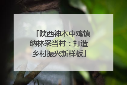 陕西神木中鸡镇纳林采当村：打造乡村振兴新样板