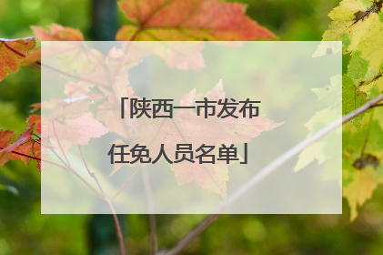 陕西一市发布任免人员名单