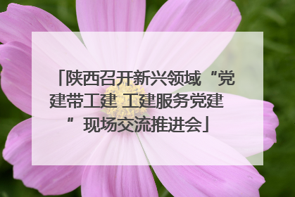 陕西召开新兴领域“党建带工建 工建服务党建”现场交流推进会
